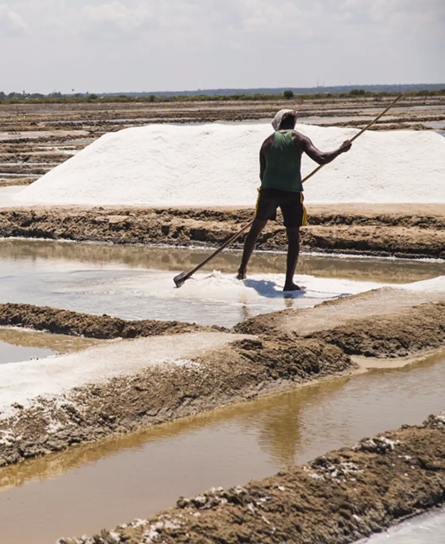 People working shallow salt pans by the sea